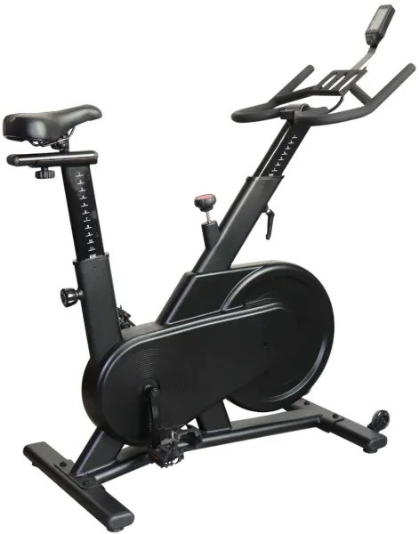 Titan Life Indoor Bike S62